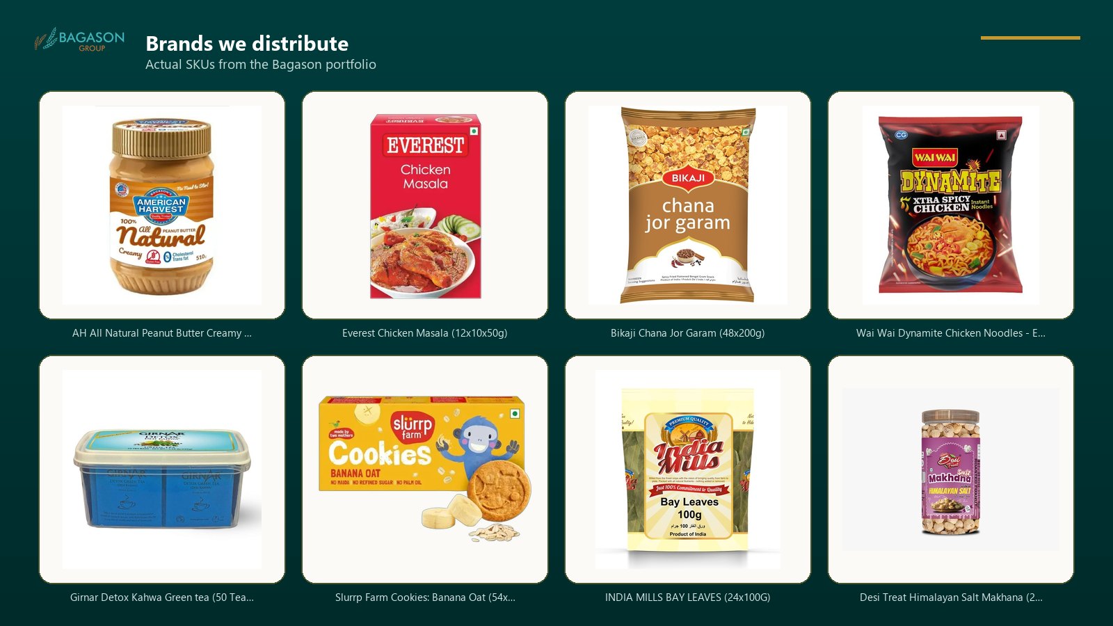 Actual product SKUs from the Bagason Group distribution portfolio relevant to GCC FMCG Export Distribution