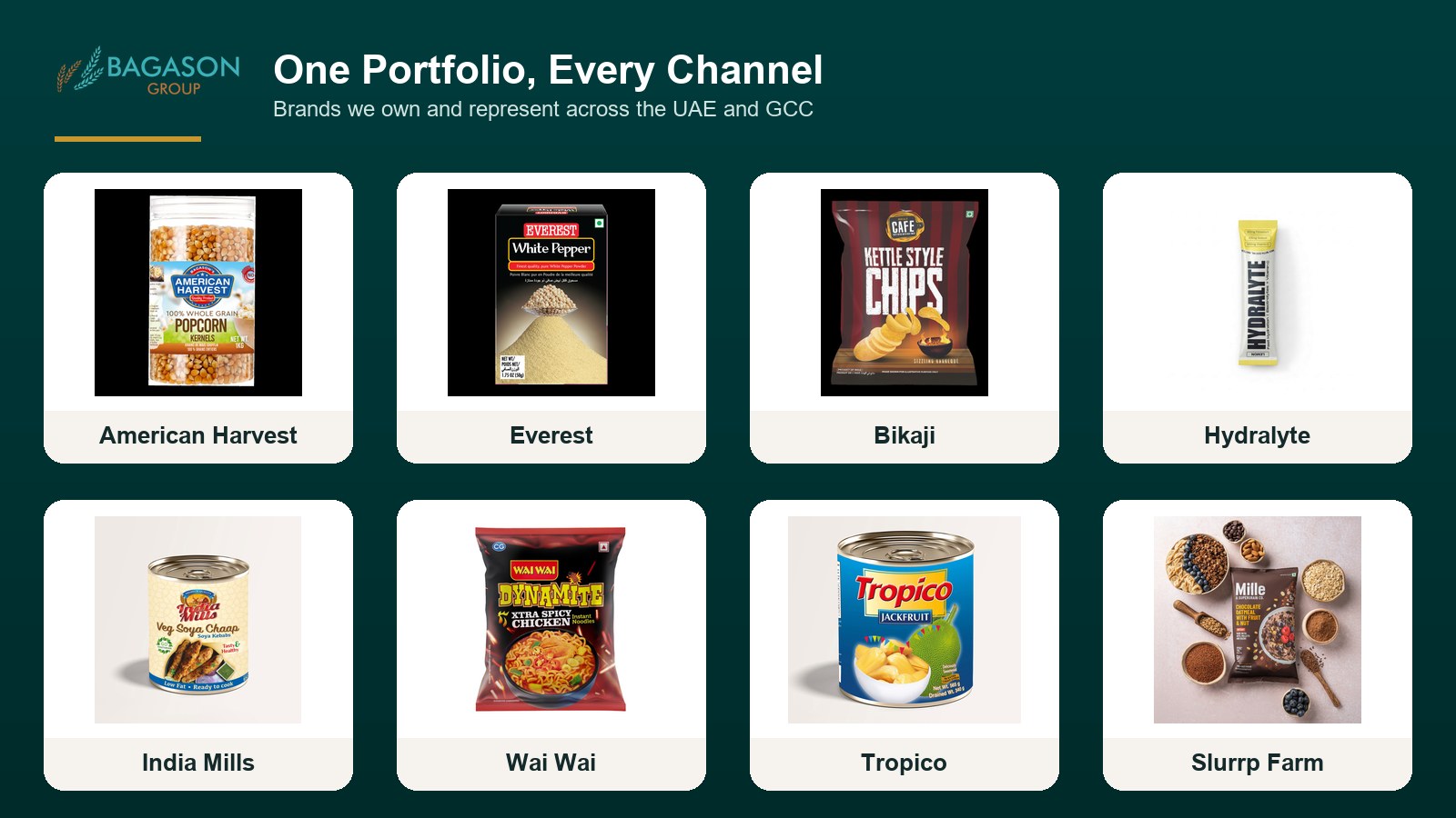 Actual product SKUs from the Bagason Group distribution portfolio relevant to FMCG Brand Representation UAE