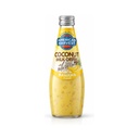 AH Coconut Milk Banana With NDC (24x290ml)