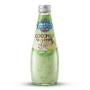 AH Coconut Milk Melon With NDC (24x290ml)