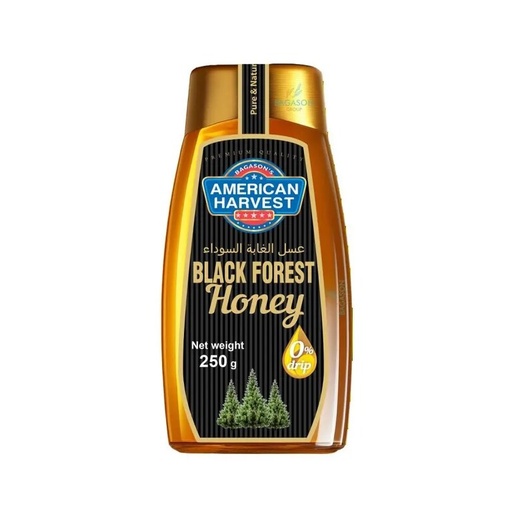 [AH-170-1] AH Black Forest Honey Squeeze Jar (12x250g)